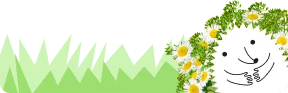 Ёжик